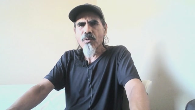 Cómo No Humanos Ayudan A Humanos