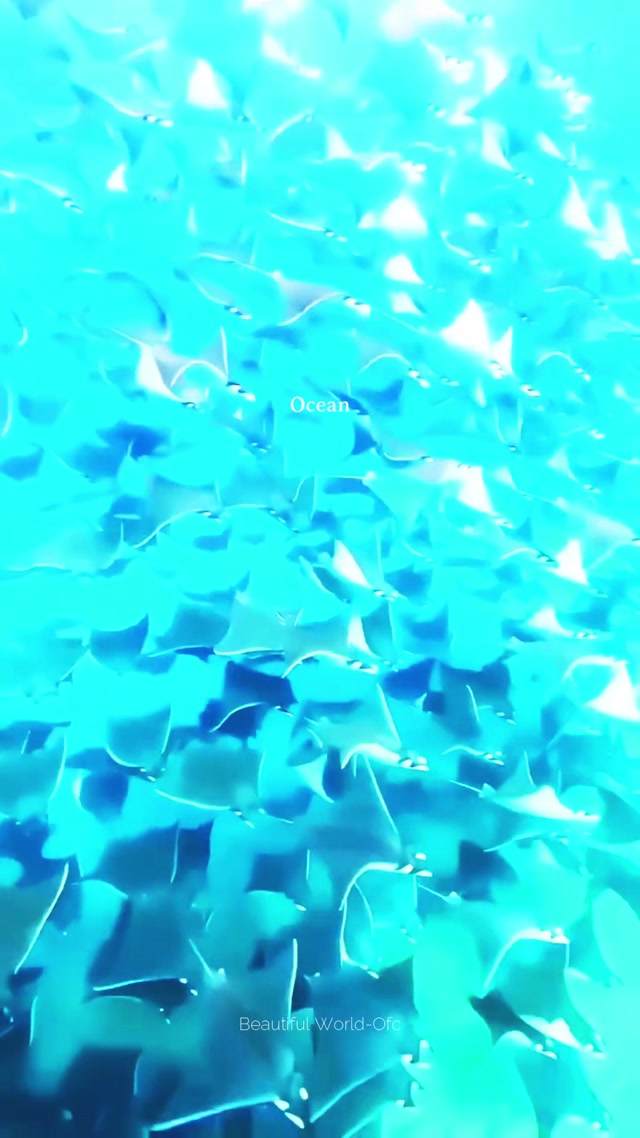 Ocean