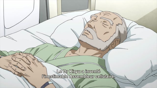 AICO Incarnation - 08 VOSTFR
