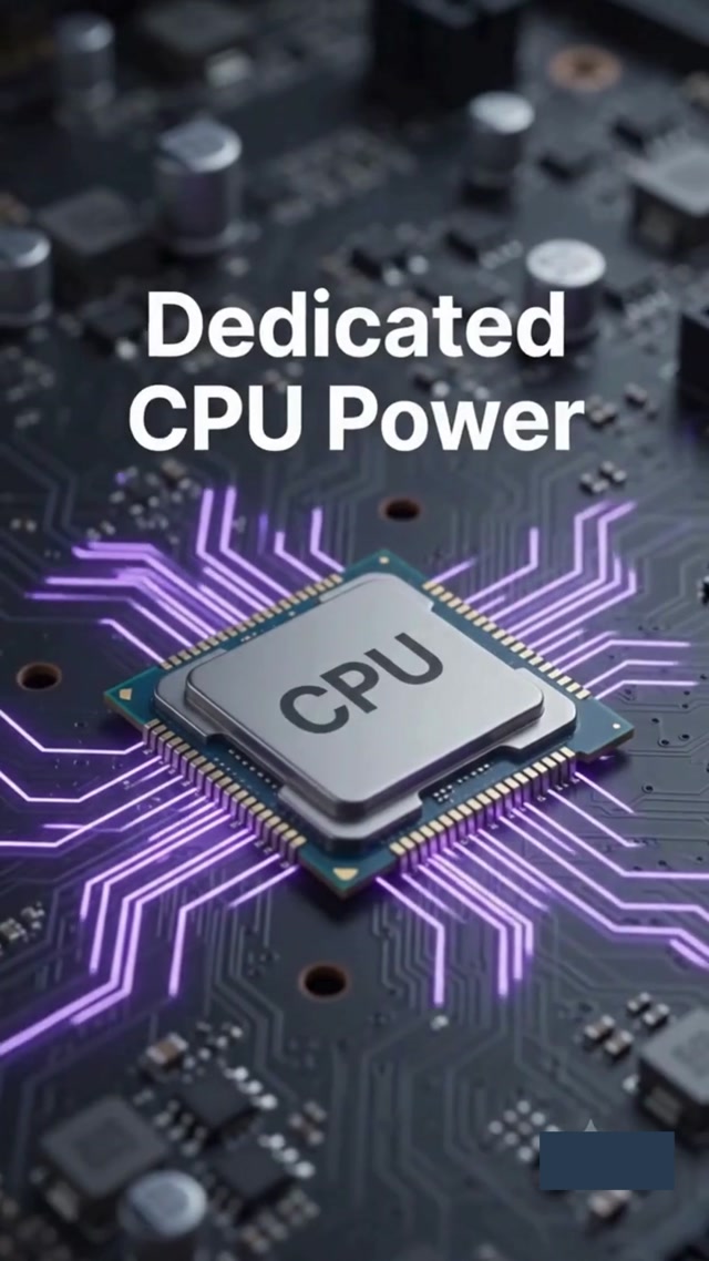 Dedicated Server Netherlands for Peak Performance