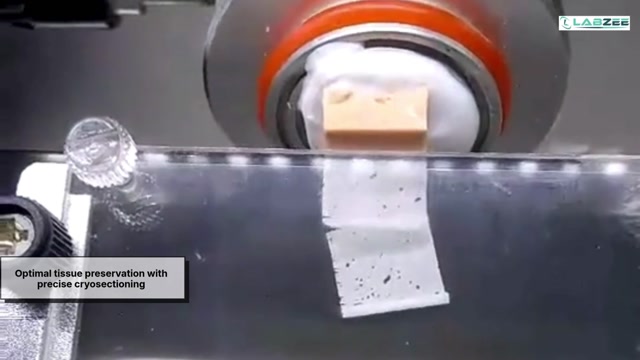 Labzee Cryostat: Advanced Cryosectioning for Accurate Tissue Preparation