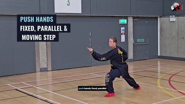 ☯️ Tai Chi Championship Apeldoorn 2027 – Bring Your Passion to the Floor! 🏆🥋