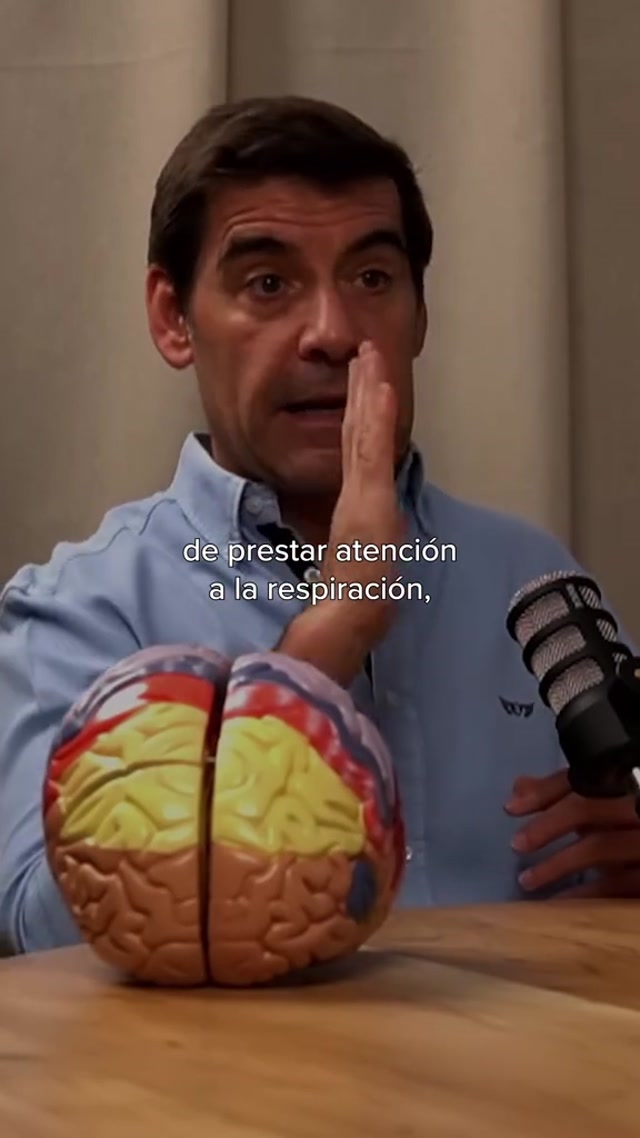 La mente entrenada domina impulsos.