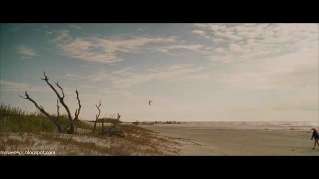 Αγαπημένε Μου Τζον (Dear John) [2010]