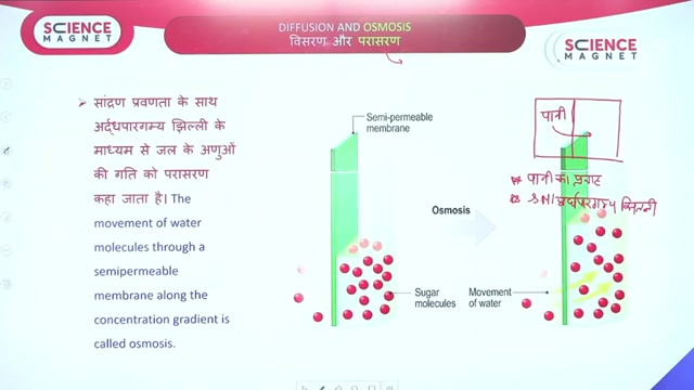 Day 30 Cell class 3 