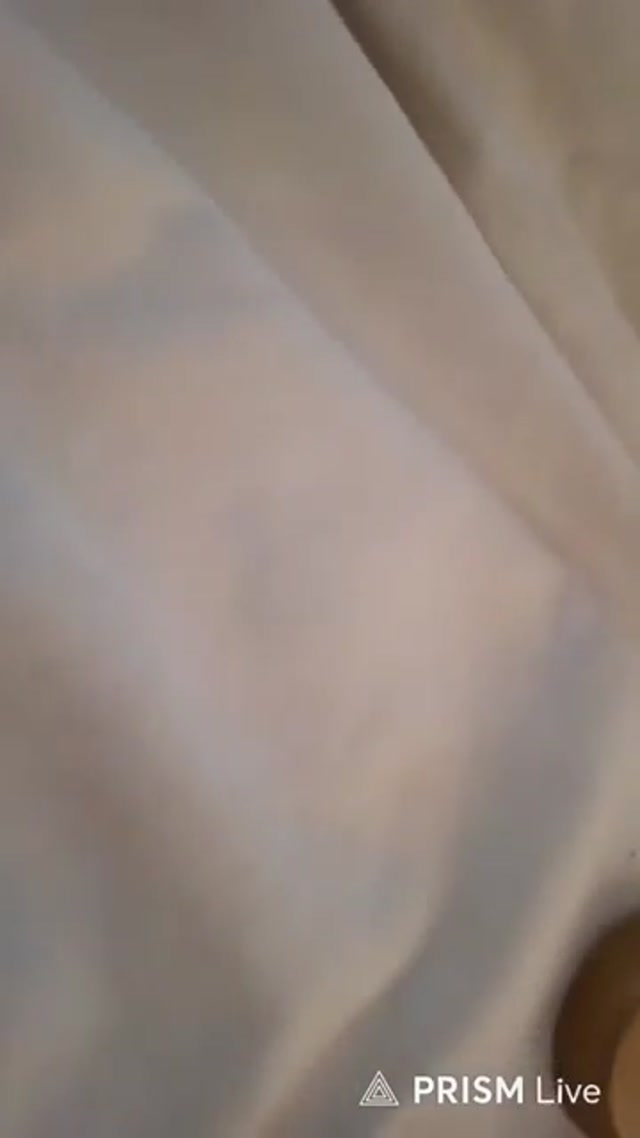 ethan ralph failed stream start (july 5th, 2026) [attempt 1]