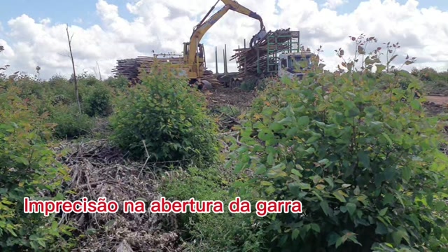 Grua