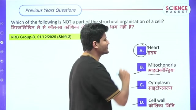 Day 31 Cell class 4