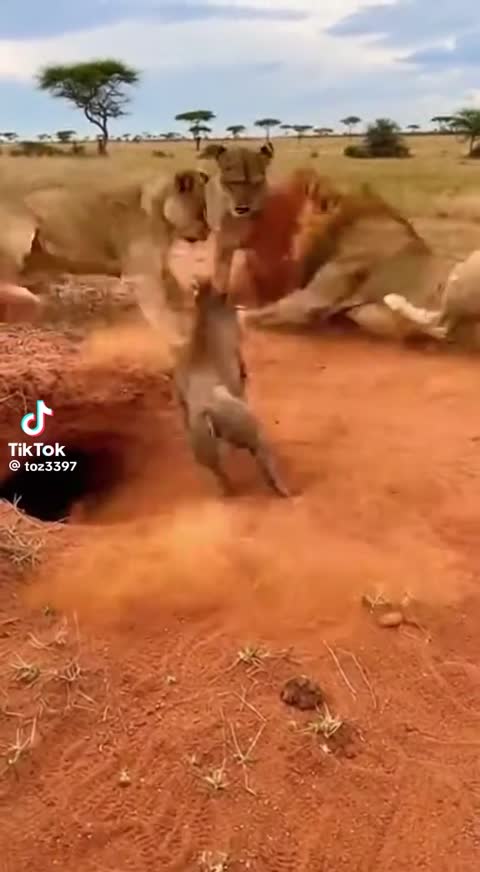 Kasongo 