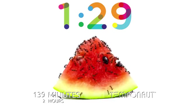 2 Minute Timer [ANTS vs WATERMELON] 🍉🐜