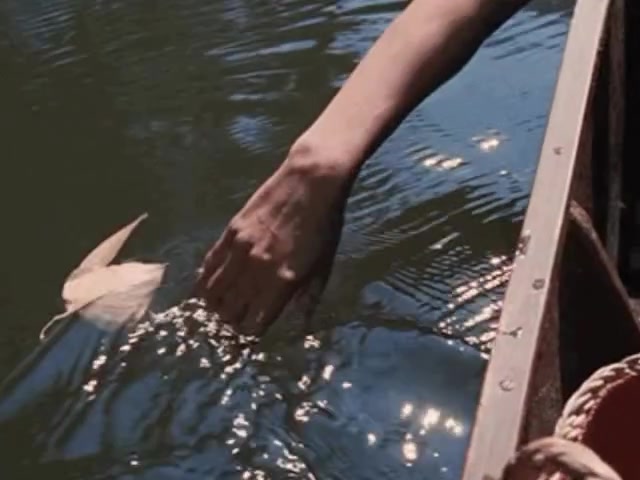 Reel 50