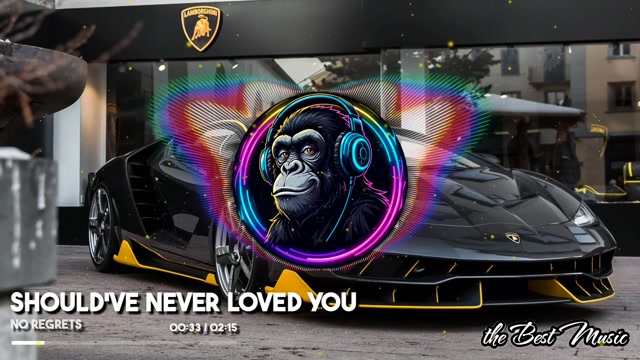should've never loved you - no regrets
