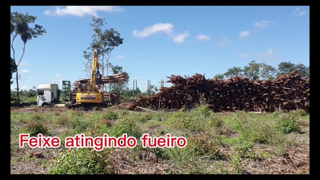 Grua