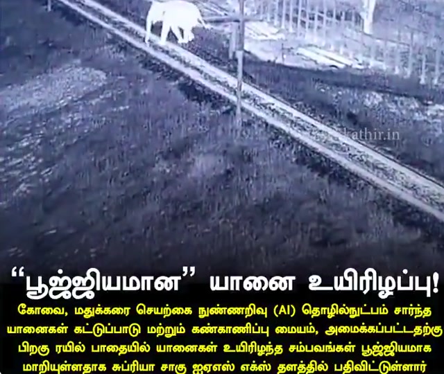 Poojiyam Elephant Death Update: Forest Department Shares Official Information