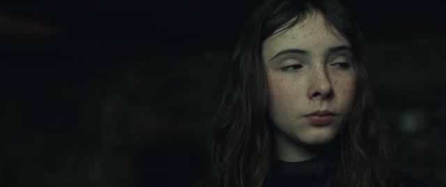 Shelter.2026.480p.BluRay.HINDI