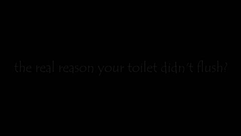 the goofing toilet