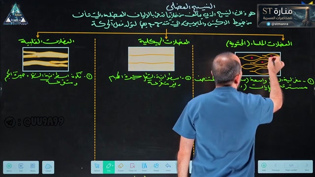 م14
