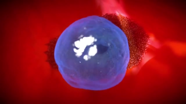 How do vaccines work