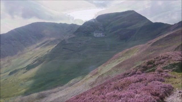 megan-cooper-wild-mountain