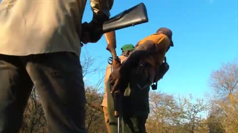 Embark on Your Quest with Seasoned Guides for Global Hunting Safaris