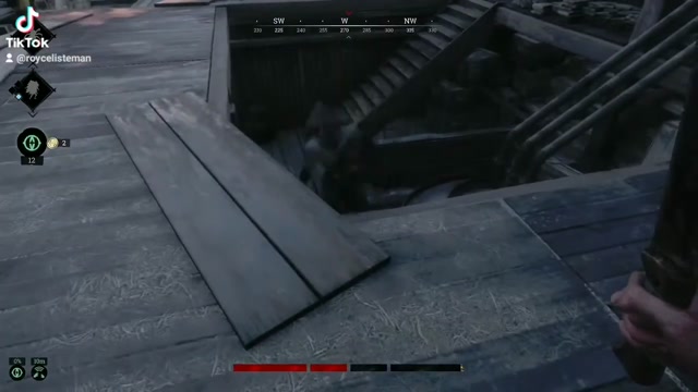 Hunt showdown glitch.temp