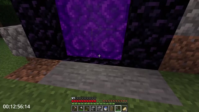 Minecraft But You Shrink Every Minute