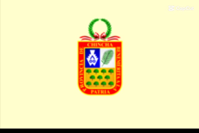 Alarma de Chincha alta