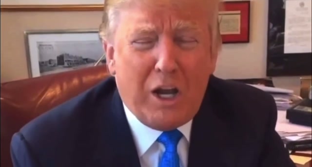 bunjeee trump cameo on robs media brandon hilton video