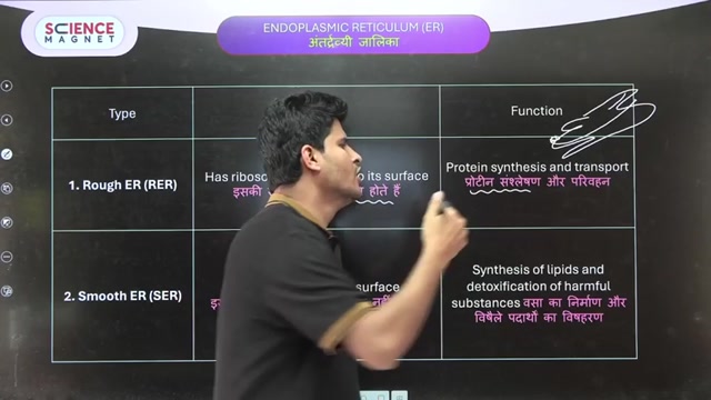Day 32 Cell class 5