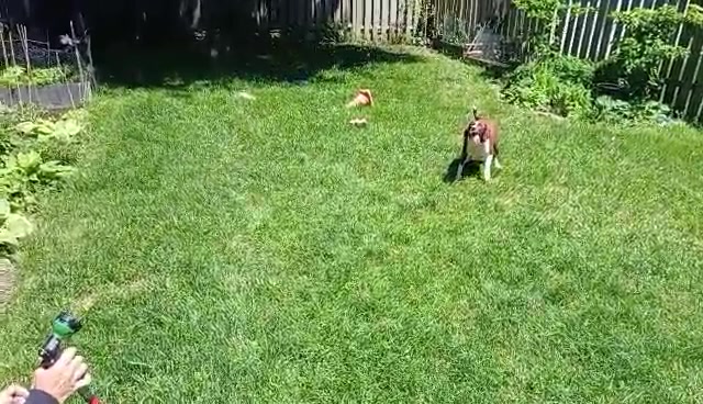 TUBBY BEAT THE HEAT