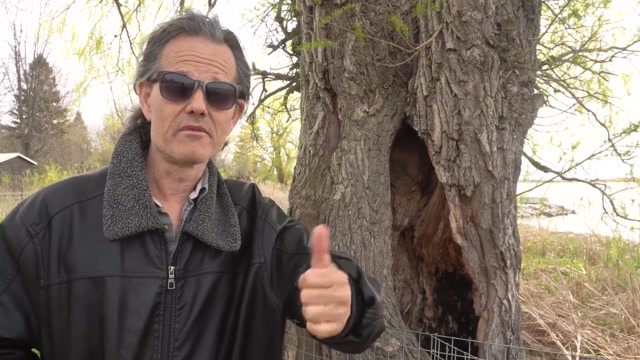 McLaughlin Conservation Park Oshawa Ontario Canada