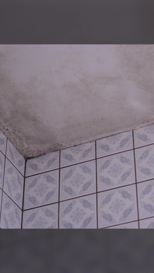 Oak Park Fire Damage Restoration | Green Planet Restoration Specialists