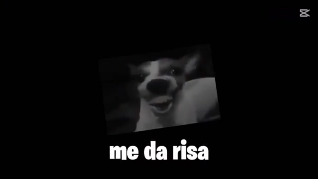 Mono zilabo hizo un short xd