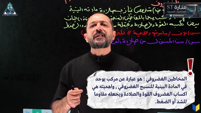 م11