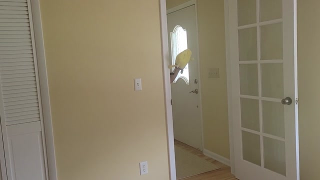 Spongebob ghost hunts | Episode 4