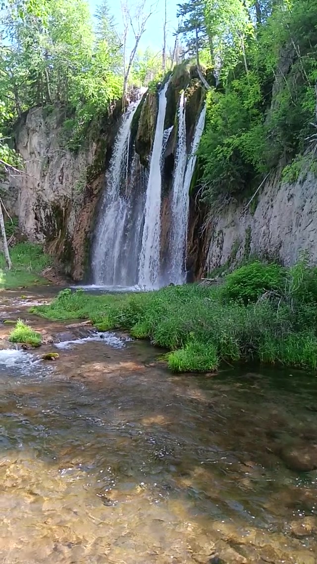 Quiet time at Spearfish Falls