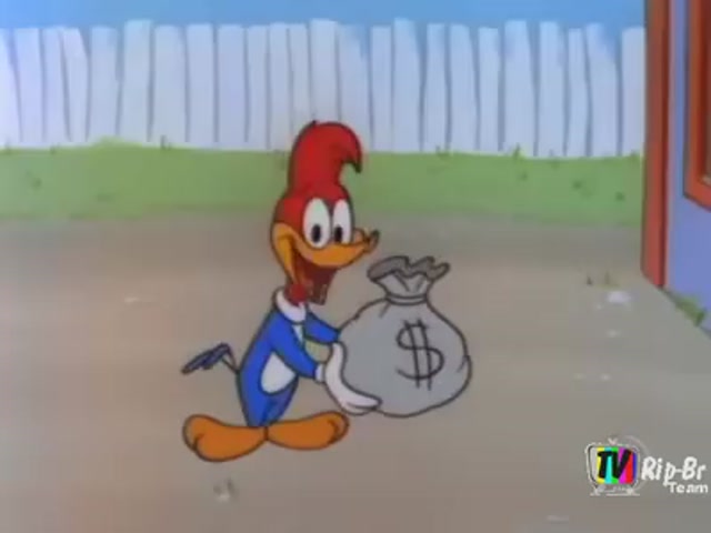 Pica pau o cacique 