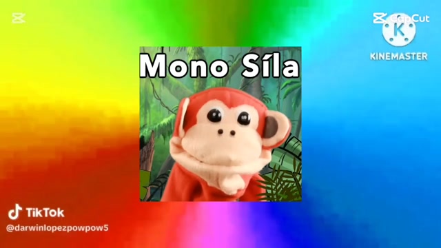 El mono silabo rainbow