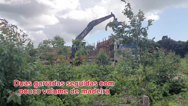 Grua