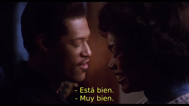 TINA LA HISTORIA DE TINA TURNER