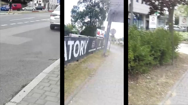 inny niż inni - raz dwa trzy oaza dla ciapatych
