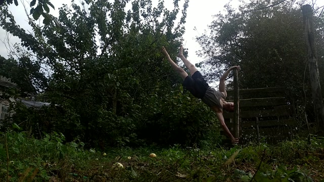 Human Flag Chin-Ups - pull-ups - Solodkyi Serhii 389758