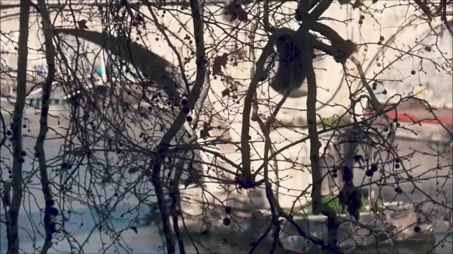 Le Orme - Amico Di Ieri