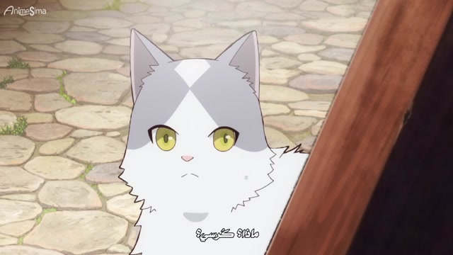 [animesima] ntr8