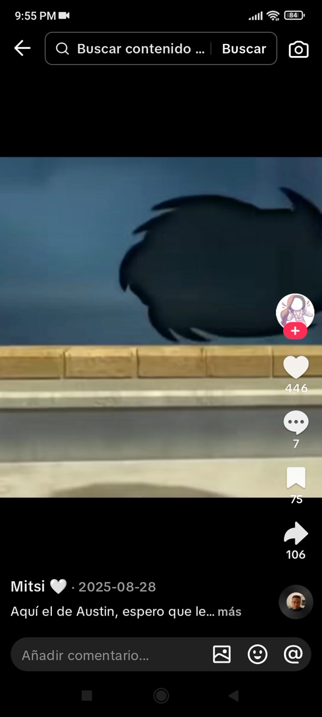 ScreenAustin parrot_espiribirb