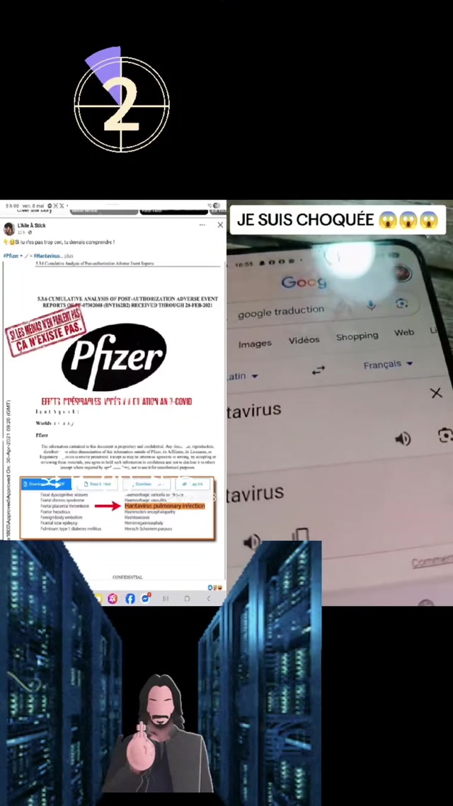 Traduction hantavirus