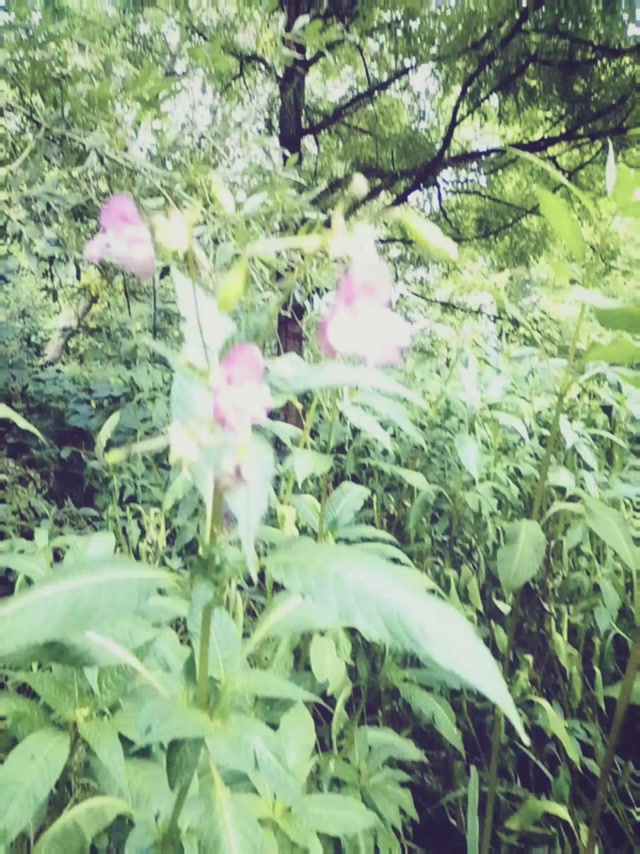 Trash 0000025
