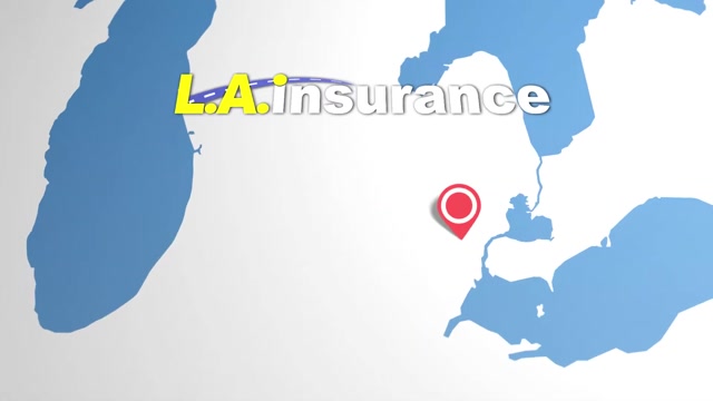 L.A. Insurance Spot - Local (Michigan)