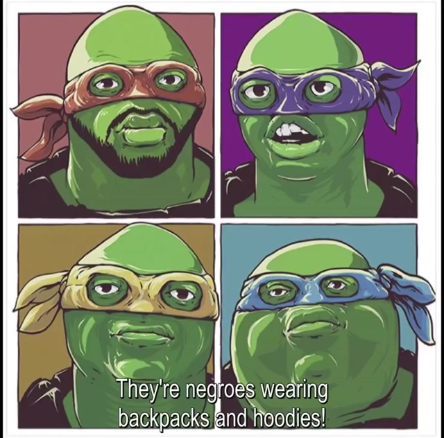 Teenage Mutant Nigger Burglars