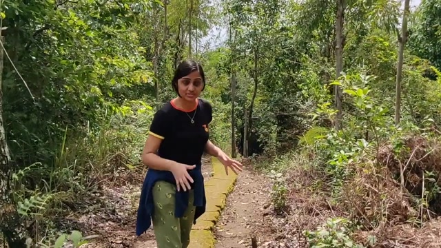Exploring Wayanad staying at Banasura Hill Resort - Vlog